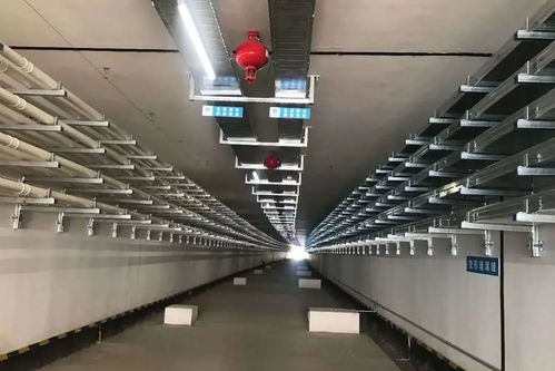 回來干活,我們一定會(huì) 罩 顧好你